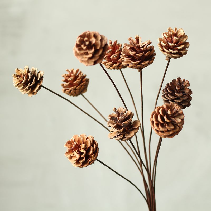 Natural Branch