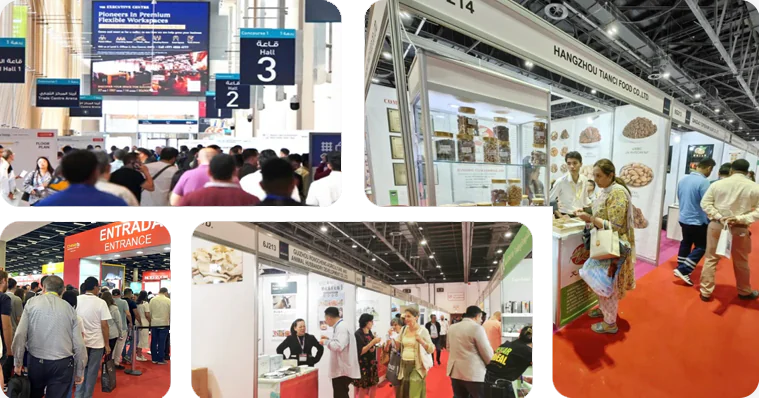 manufacturers 2024093001241544