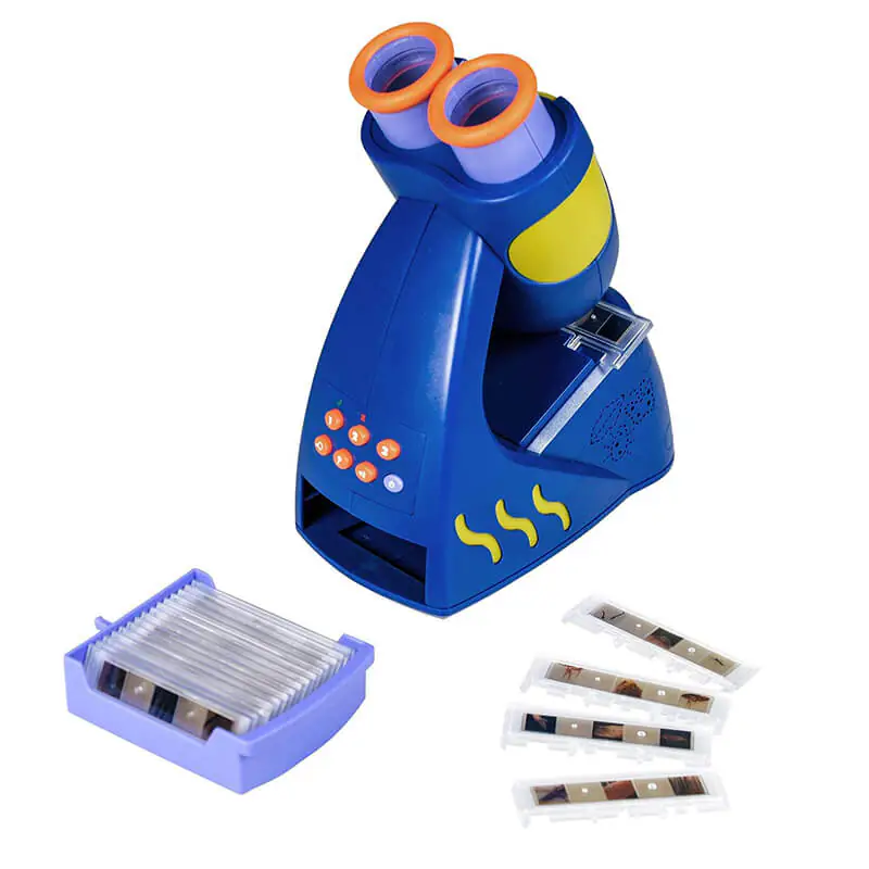 Brinquedos educativos 1 1 2024112805580216