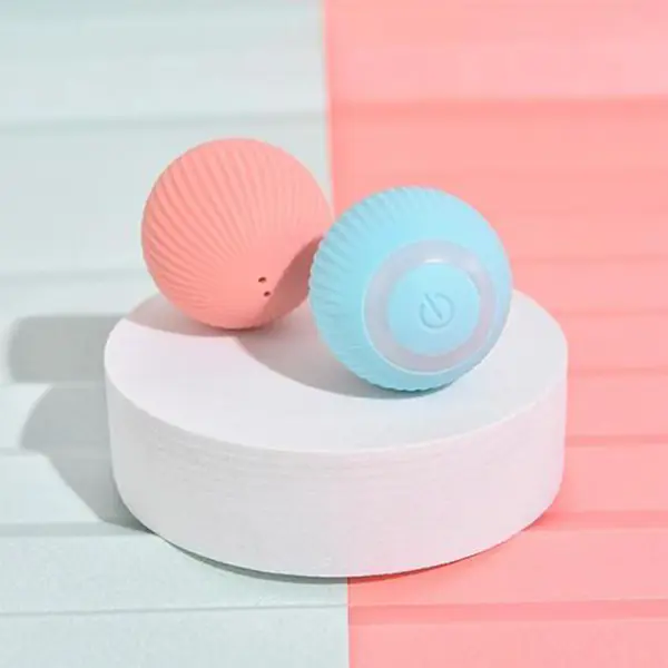 Pet Toy 2 1 2024112906033927