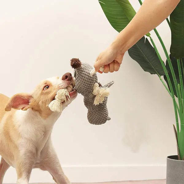 Pet Toy 4 1 2024112906051938