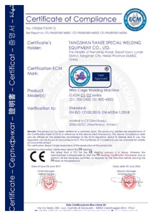 Спортивные сертификаты 04 2024112903400351