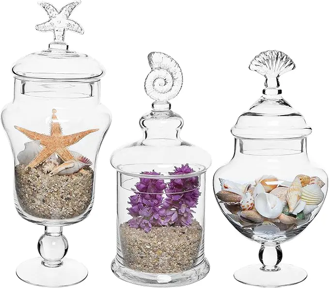 Glass Apothecary Jars with Lid1 2026022806333680