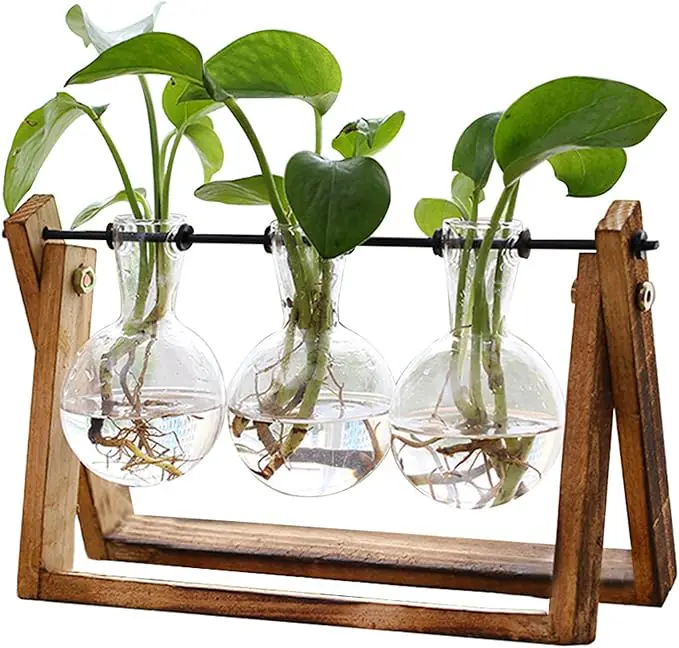 Glass Plant Terrarium1 2026022806335424