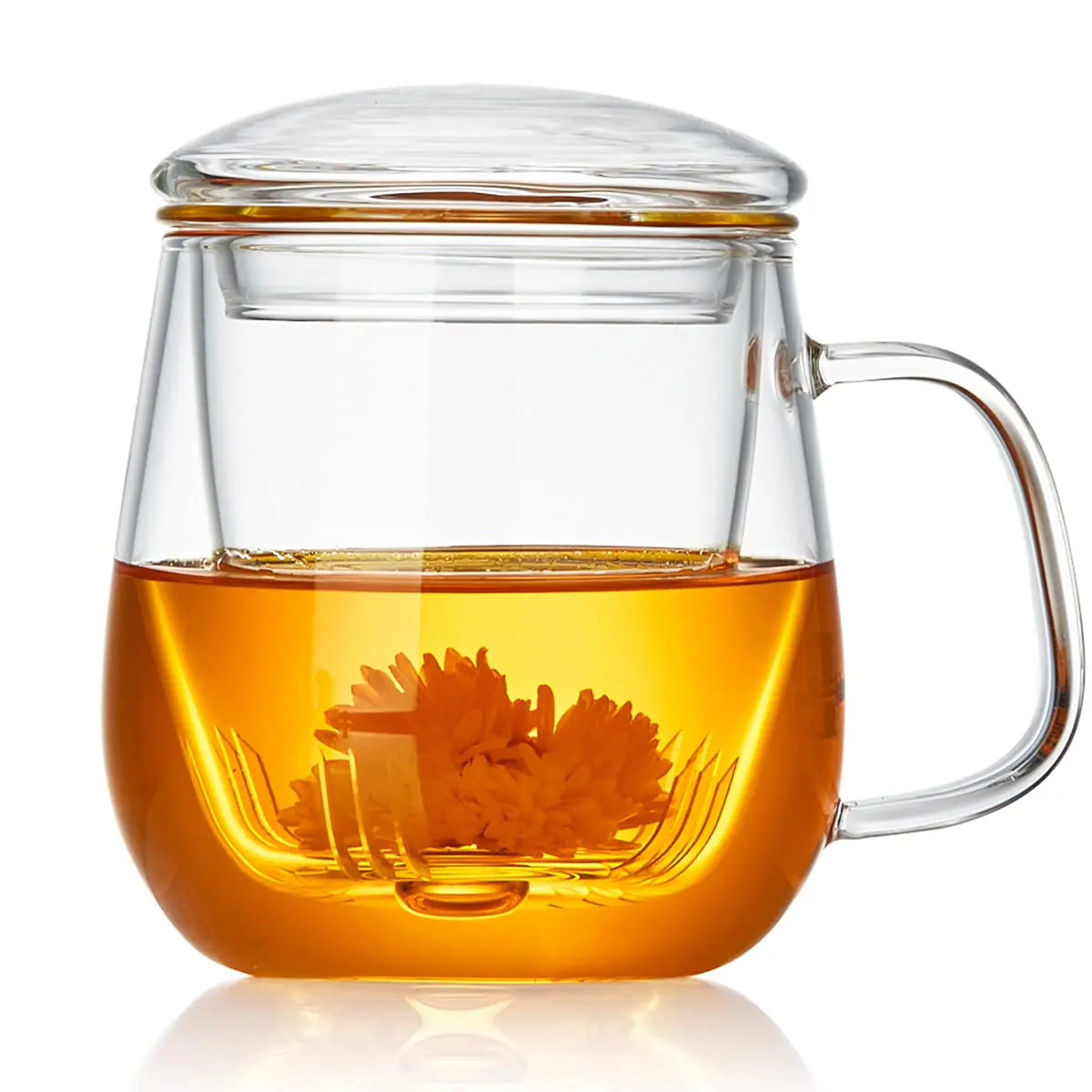 Glass Tea Cup with Infuser and Lid 2 2026022803125761
