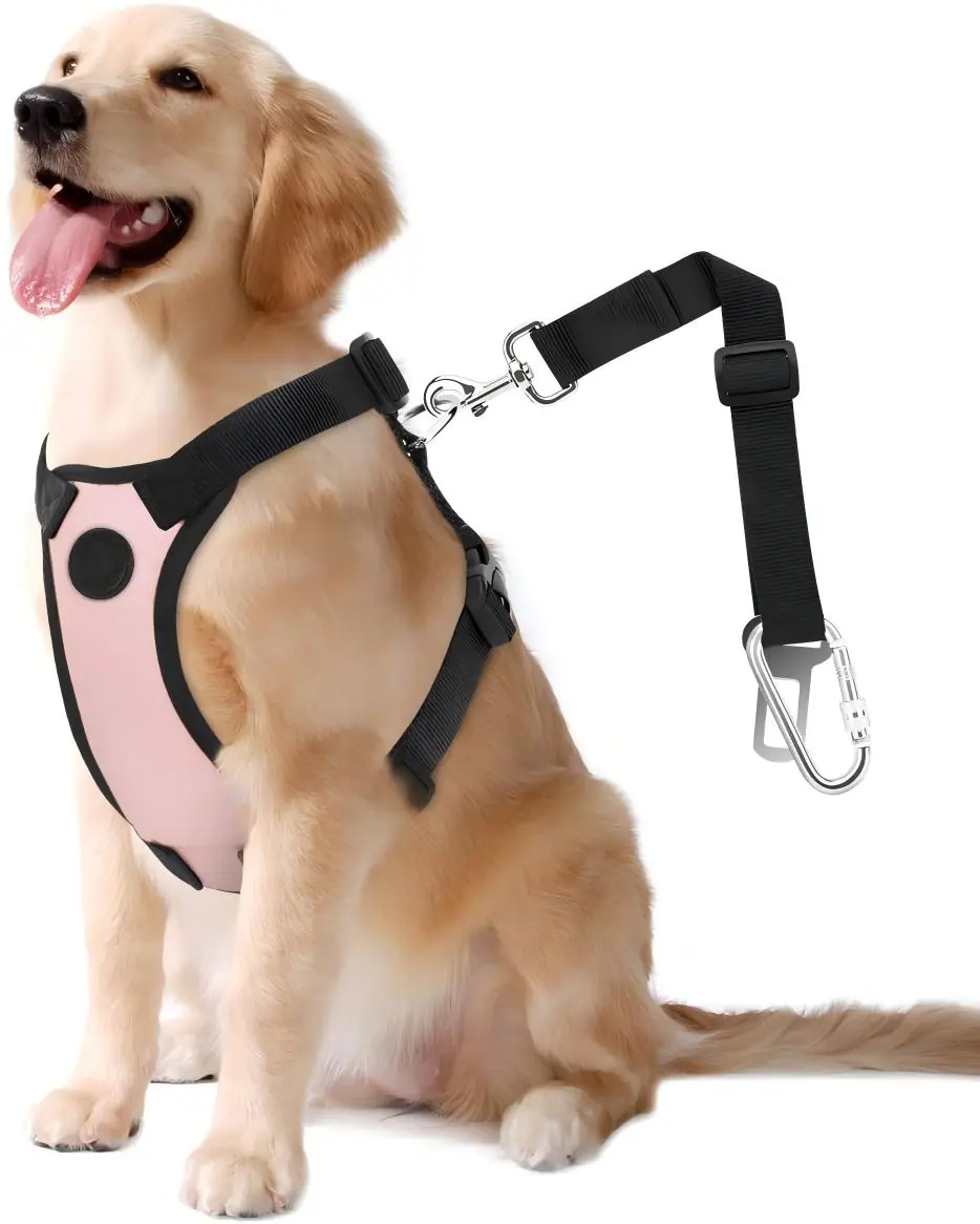 Dog Safty Seat Belt 2026031005373077