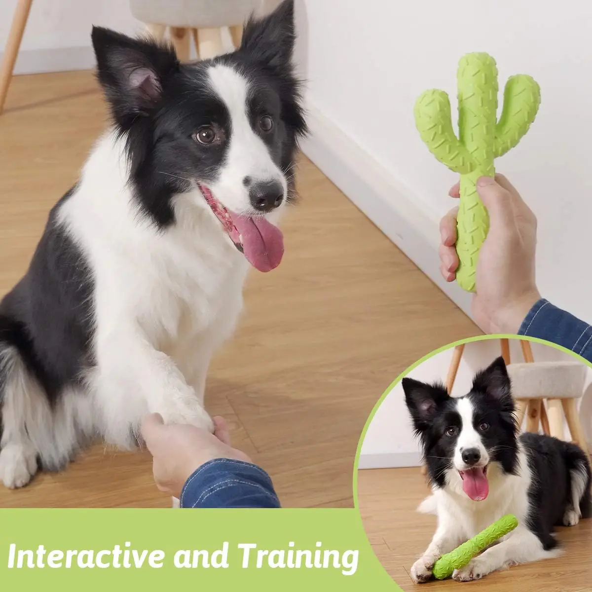 Dog rubber Chew Toys 2 2026031003060591