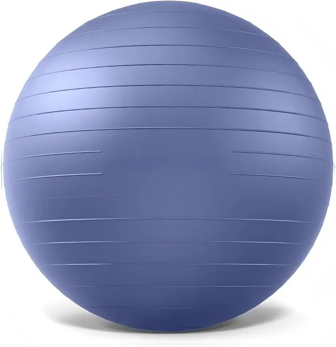 Exercise Ball for Yoga 2 2026031007565278