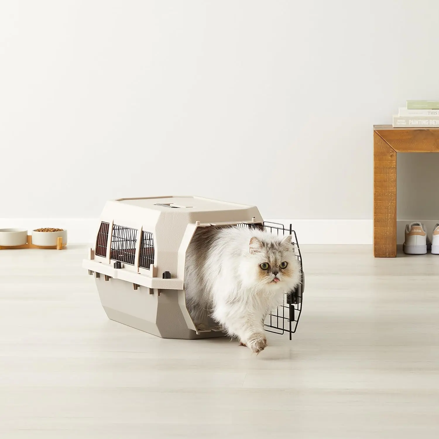 Hard Sided Pet Travel Kennel 2 2026031005375883