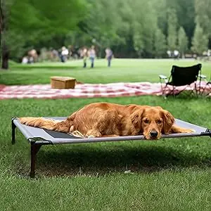 Outdoor Elevated Dog Cot Bed 2 2026031005380799