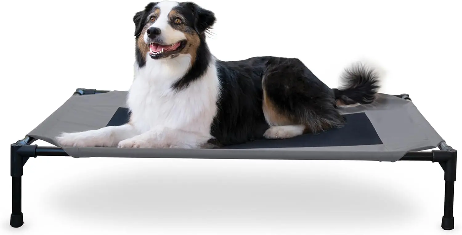 Outdoor Elevated Dog Cot Bed 2026031005381178