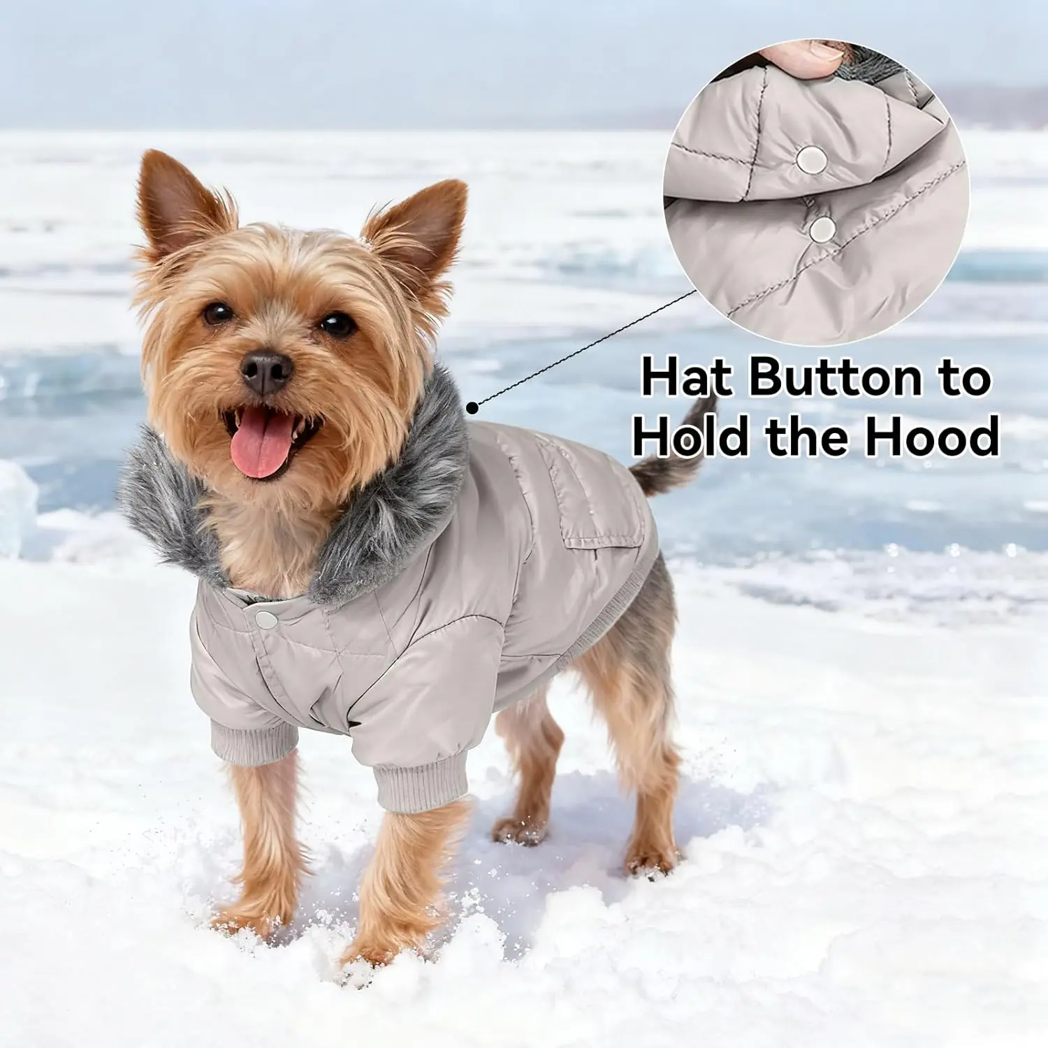 Puffer Jacket with Leash Hole 2 2026031003073557