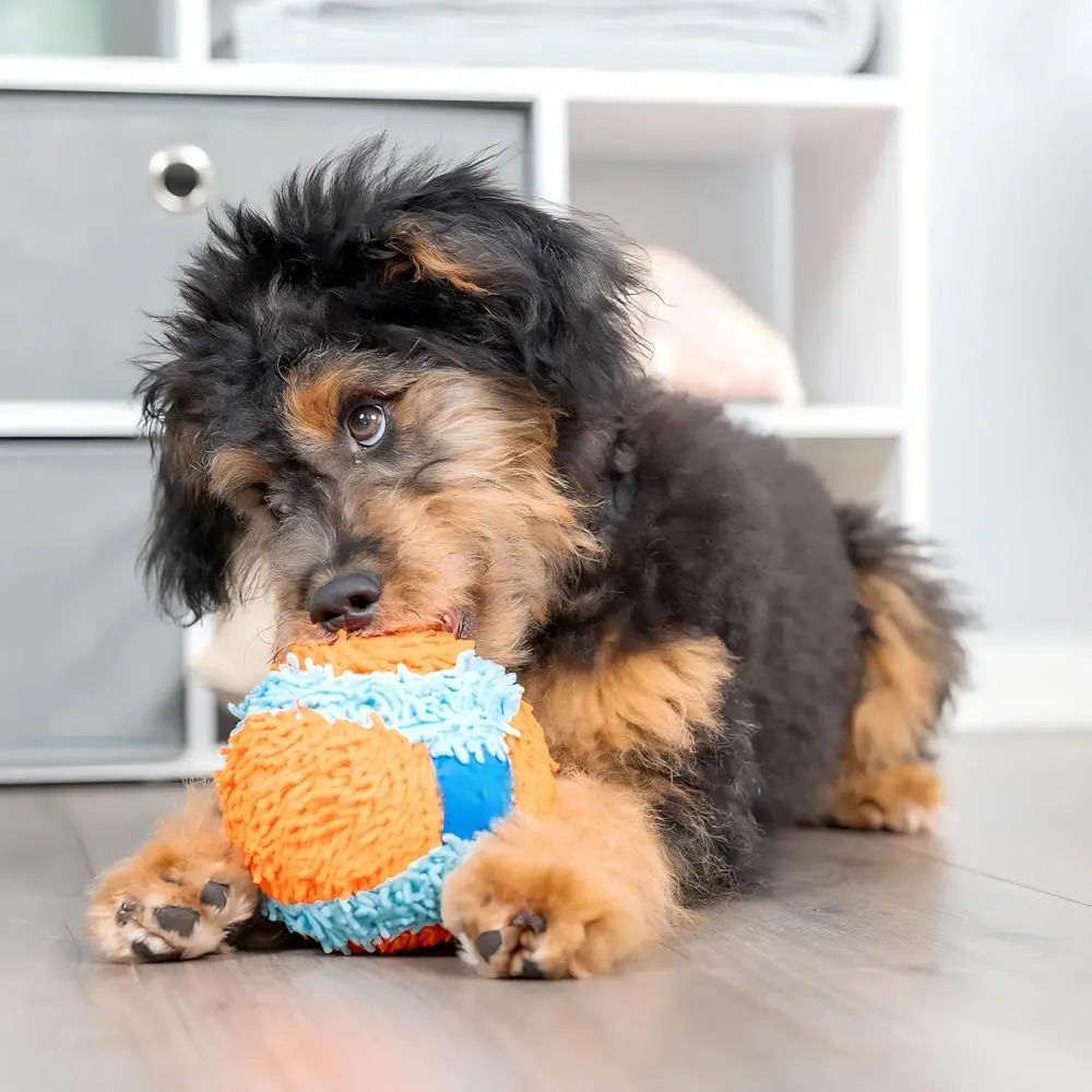 Soft Ball Toy 2026031003080393